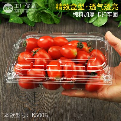 甄选【镇店款】鲜元一斤装一次性水果盒透明塑料包装水果打包盒子