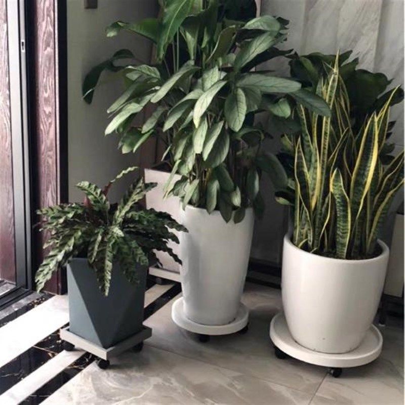 白色可移动花盆植物托盘圆型垫底座带轱辘万向滑轮花架接水大承重
