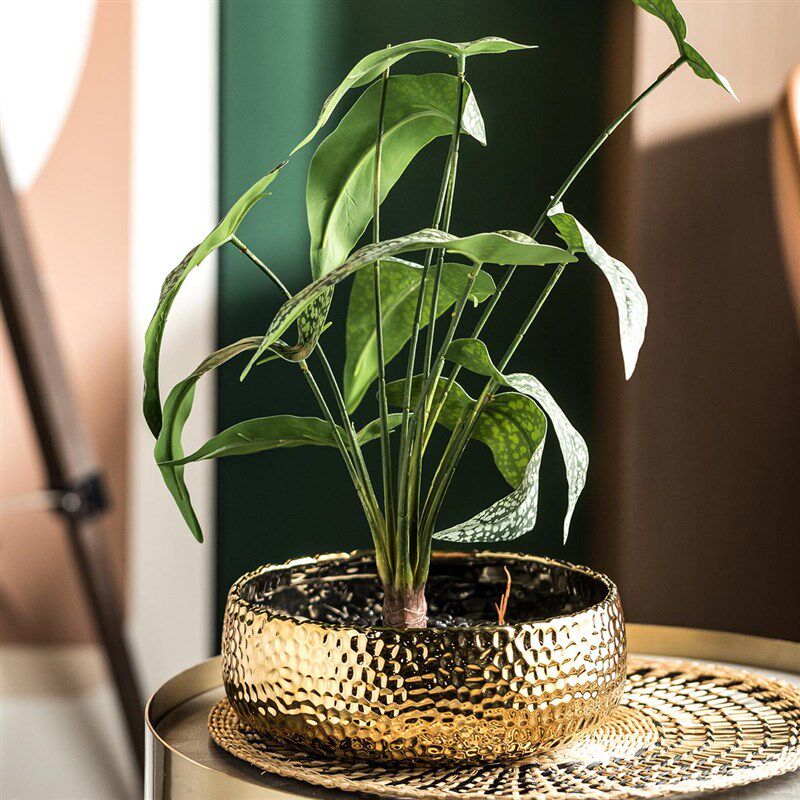 金色陶瓷花盆大口径客厅高级感轻奢蝴蝶兰铜钱草水仙水培植物无孔