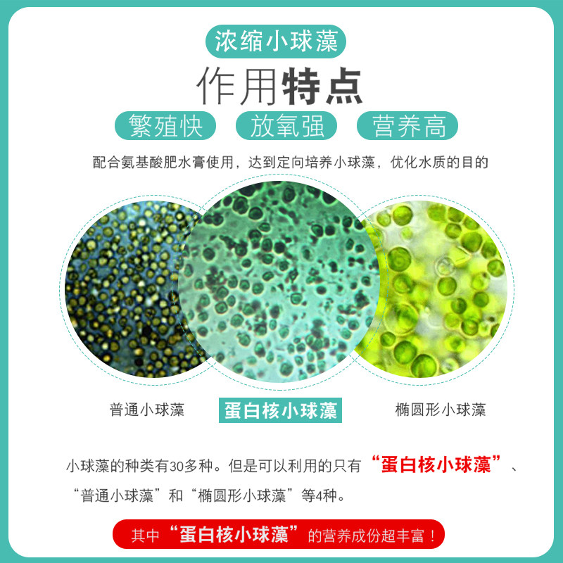 小球藻藻种浓缩绿藻硅藻藻种绿水复合藻种水产养殖鱼缸培养基肥水