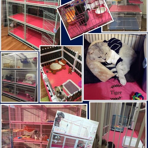 猫笼地垫 狗笼地毯宠物地垫粉红色铜钱猫笼脚垫防滑垫PVC防水地毯