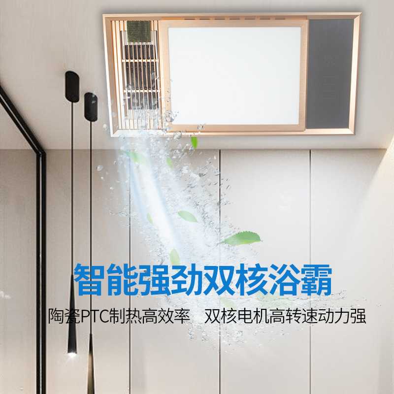风暖集成吊顶浴霸家用取暖卫生间浴室led灯浴霸灯多功能一体