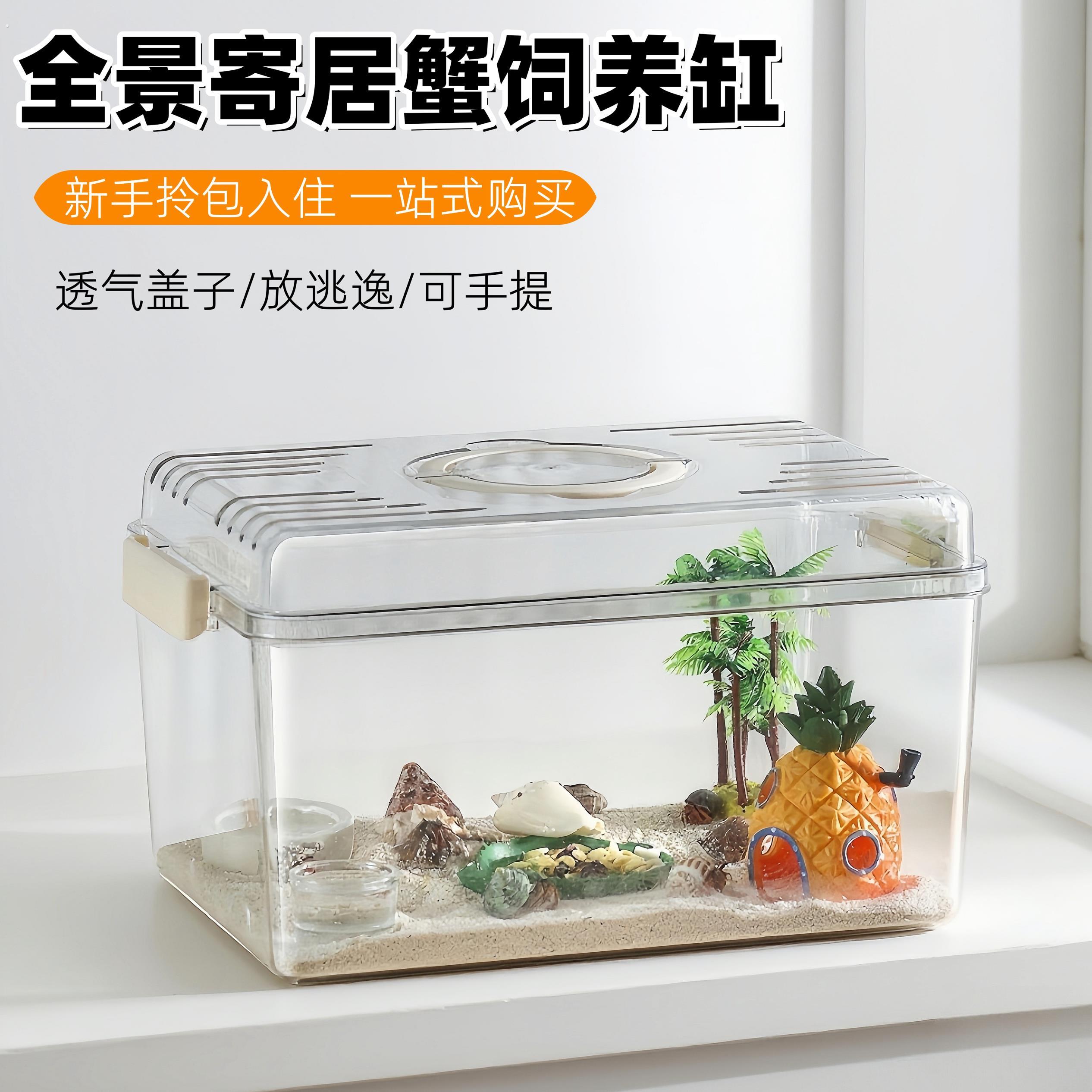 寄居蟹饲养盒套装小型桌面爬宠箱相手蟹生态养殖箱乌龟饲养缸手提