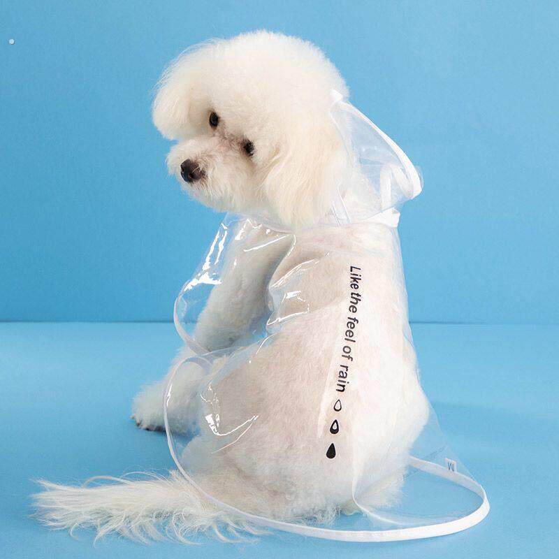 新款网红夏季宠物衣服狗狗雨衣泰迪博美中小型犬雨衣猫咪透明雨衣