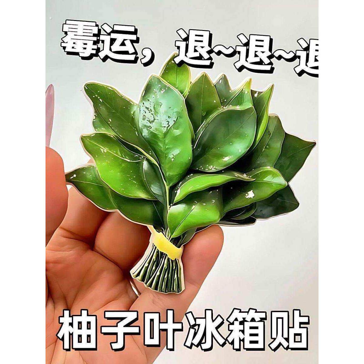 柚子叶去晦气冰箱贴转运幸运压克力创意小众搞怪礼物冰箱装饰品