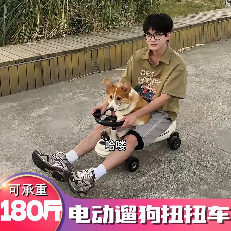 电动扭扭车大人版大马力遛狗神器带刹车网红同款防侧翻闪光轮2025