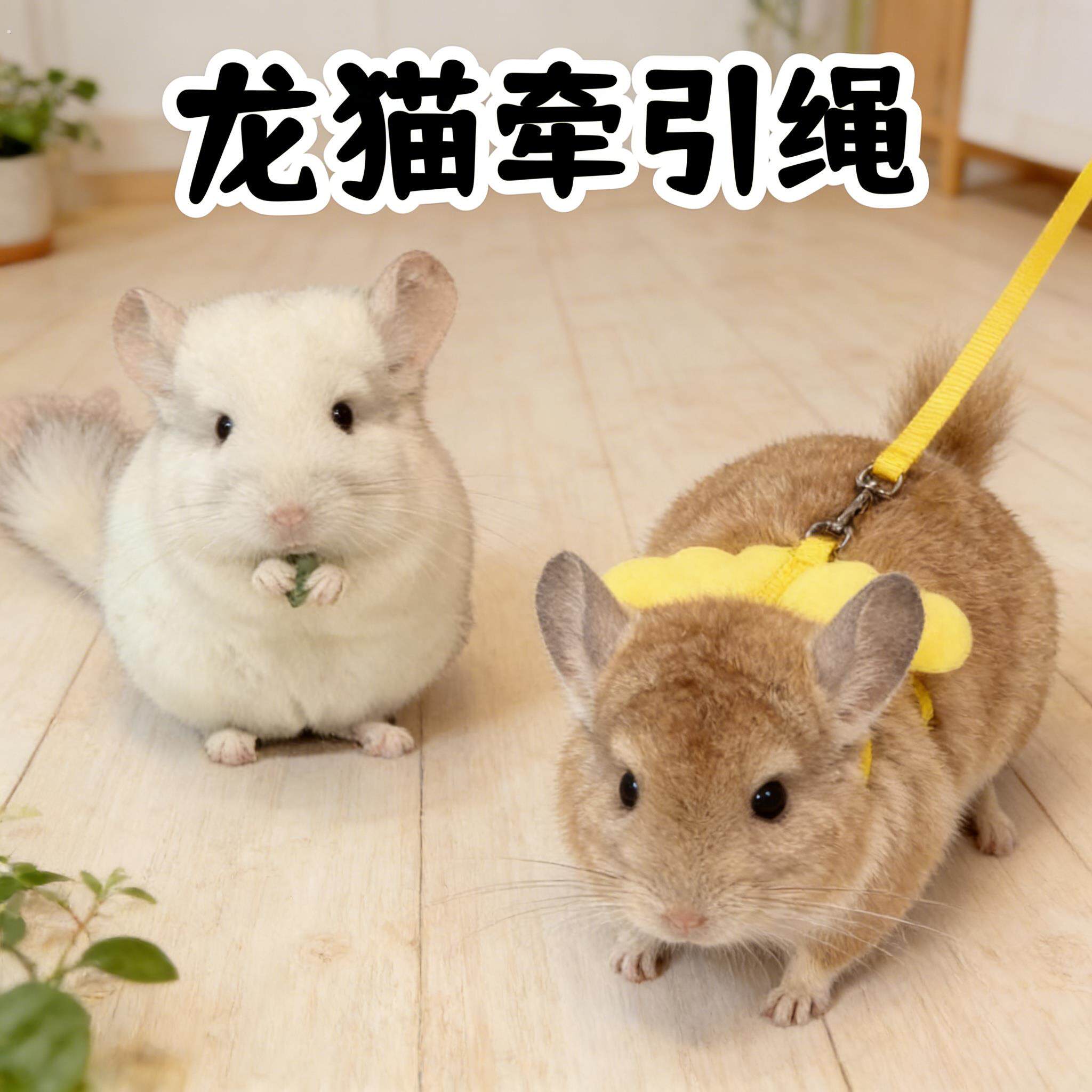 龙猫牵引绳专用外出放风溜猫绳防挣脱可调节家用神器小宠物用品