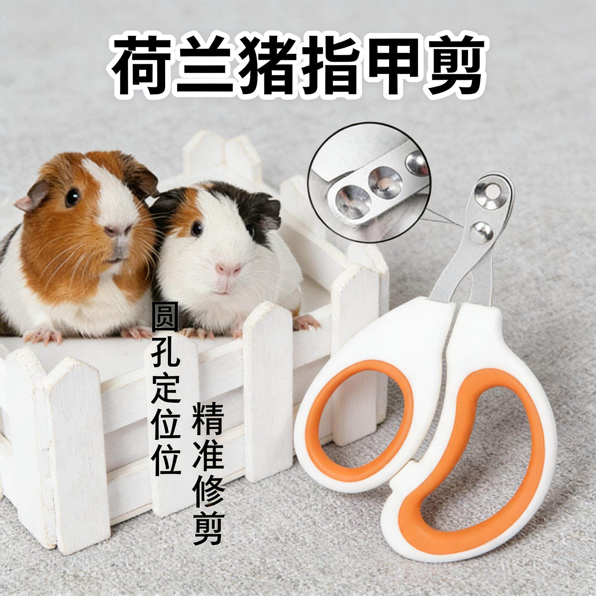 荷兰猪专用指甲剪新手神器豚鼠锋利打磨护理美容清洁修剪宠物用品