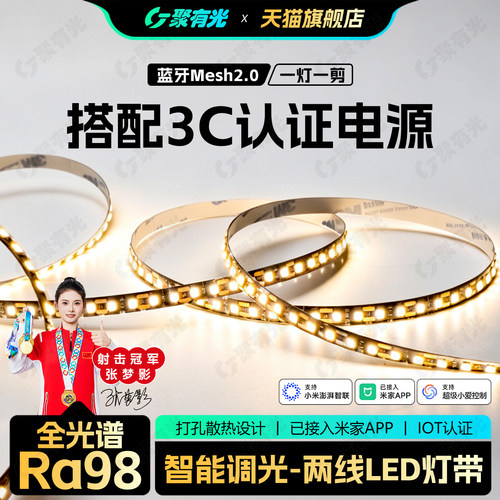 巨省电全光谱双色SMD灯带Mesh2.0