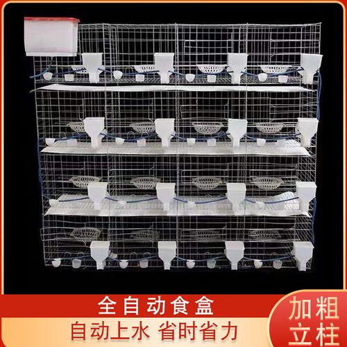 甄选【鸽笼】防锈养殖镀锌铁丝鸽子笼 繁殖配对笼具多规格鸽子笼