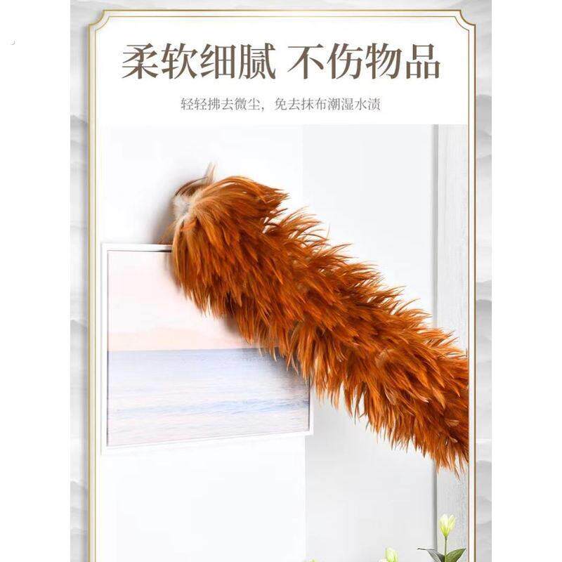 拍被子神器鸡毛掸子藤条浮沉掸子扫灰清洁神器家用可伸缩除尘禅子