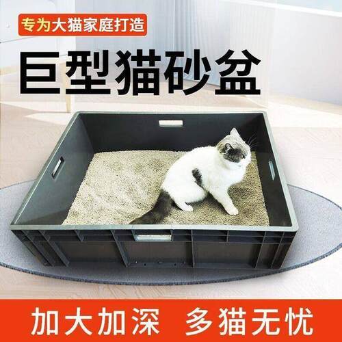 超大号加大加深周转箱特大号全开放猫厕猫砂盆40斤60斤缅因猫
