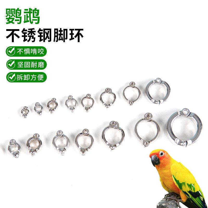 不锈钢脚环禽类孔雀开口活扣鹦鹉训练脚环牡丹八哥虎皮不锈钢脚炼