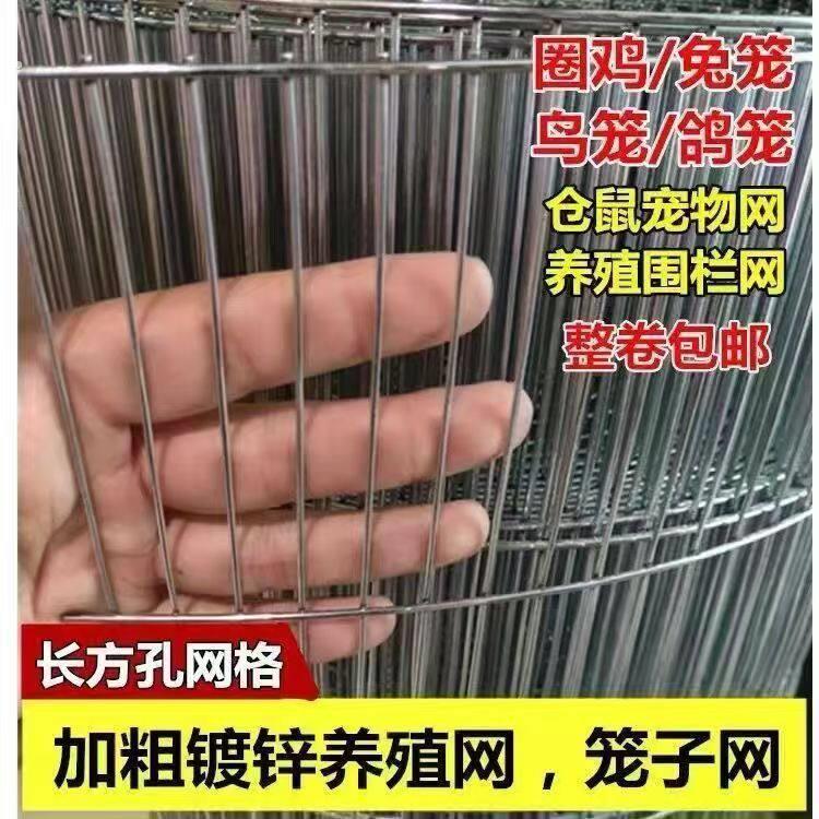 鸟笼网鹌鹑网养殖鸽子网电焊网养鸡网家用兔笼镀锌铁丝网鹦鹉笼