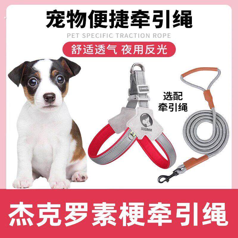杰克罗素梗犬狗狗胸背带牵引绳中小型犬脖圈背心式遛狗绳宠物项圈