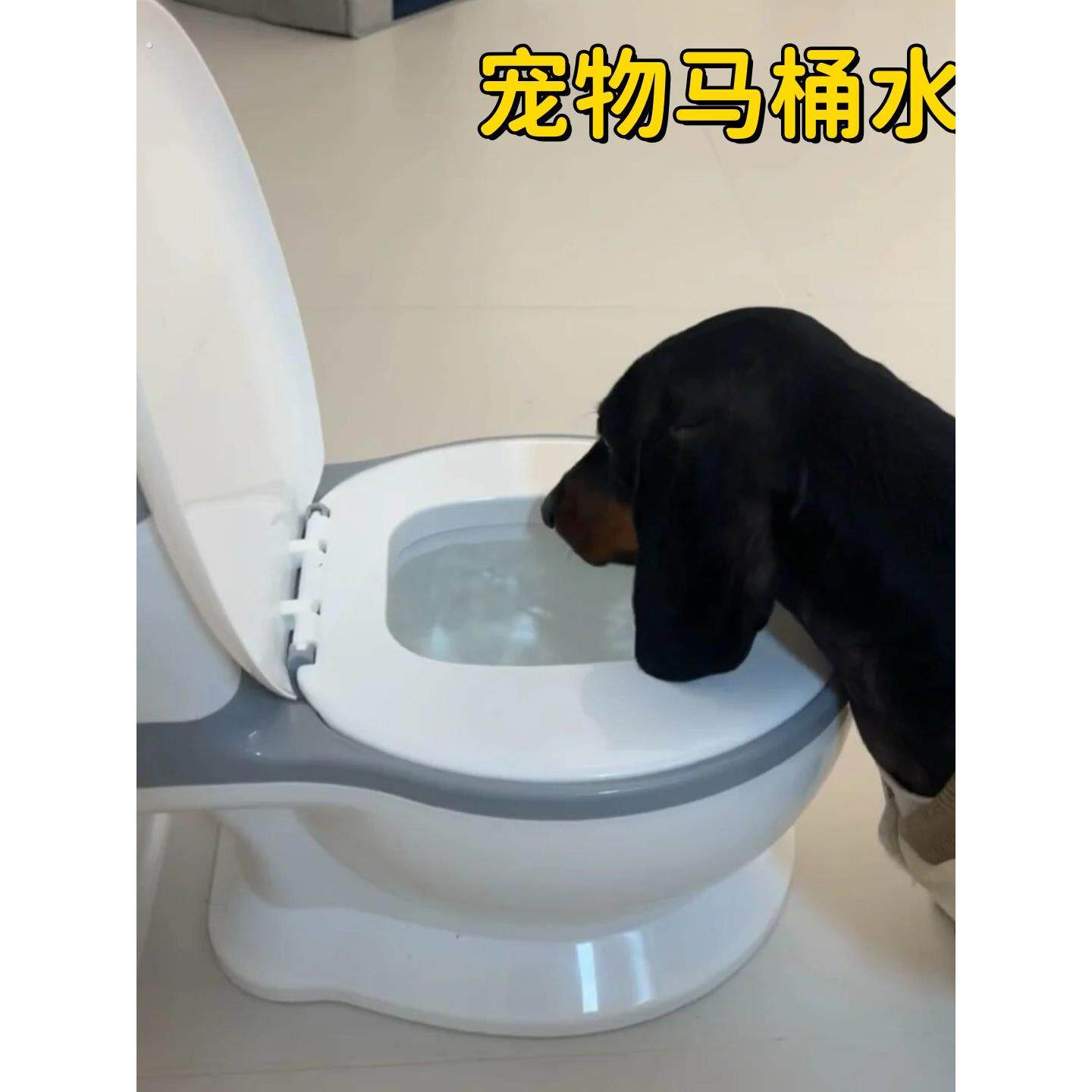 骗猫咪狗狗喝水神器宠物马桶水碗饮水器大容量仿真坐便器不易打翻