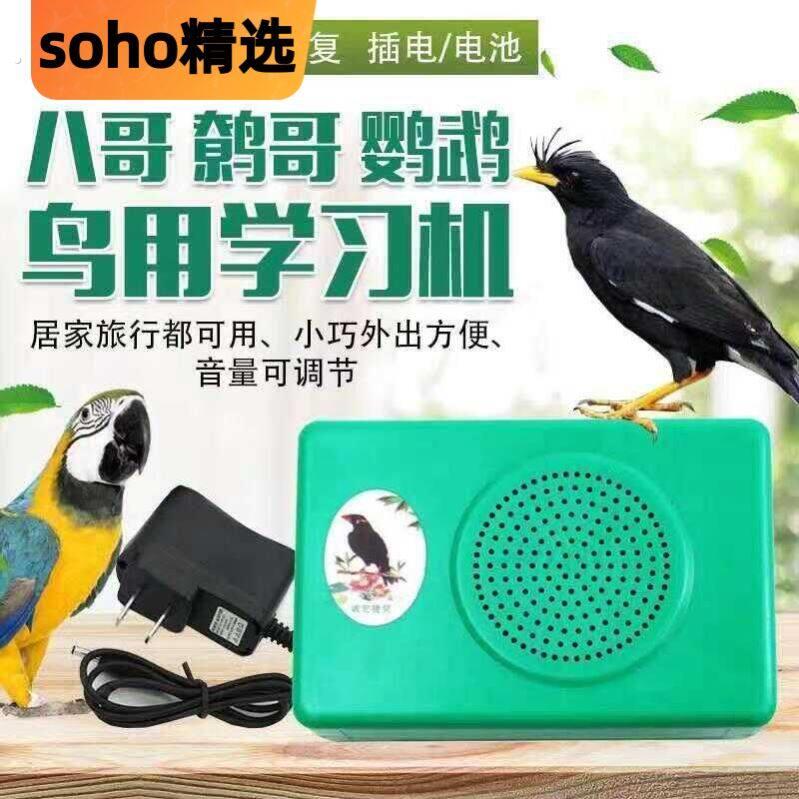 说话训练器鹦鹉鸟学有线 线电话鸟用学话器单句循环学习机鹩哥覆