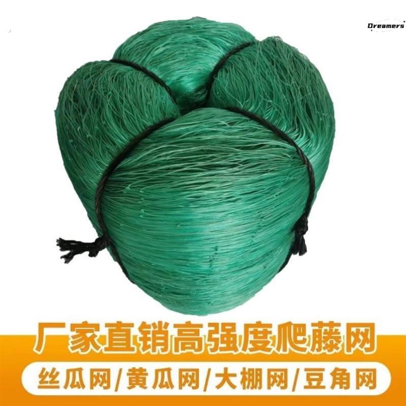葡萄架爬藤网罗汉果百香果搭架专用网苦瓜丝瓜植物攀爬藤蔓网厂家