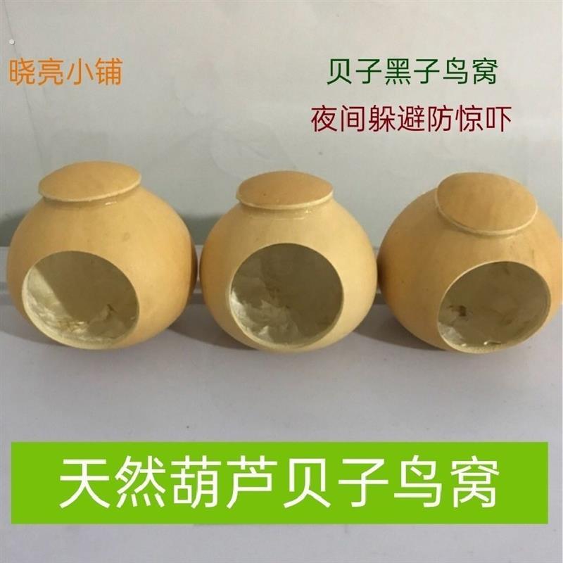 贝子鸟窝贝子鸟窝,葫芦鸟窝,黄雀,点子,红子,黑子黄腹山雀窝