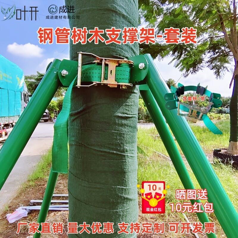 树木支撑架镀锌钢管绑带卡扣大树支撑杆防风苗木支架园林支撑器
