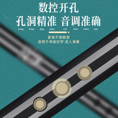 零基础入门洞萧可携式高音8孔短萧八孔F调G调初学南萧乐器一吹就