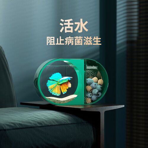 斗鱼专用小鱼缸泰国观赏鱼繁殖一体生态创意造景养中国斗鱼的缸