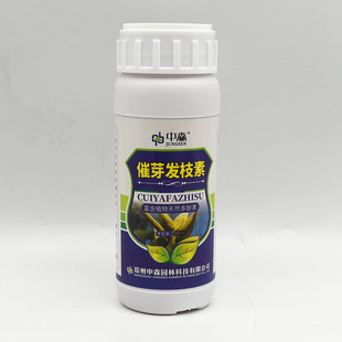 催芽发枝素促进生芽抽枝剂细胞分裂素替代刻芽发芽剂花卉苗木茶树