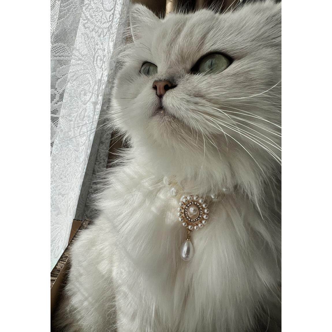 宠物猫咪狗狗宝石项圈覆古珍珠项炼 炼 德文俄蓝配饰首饰猫狗通用
