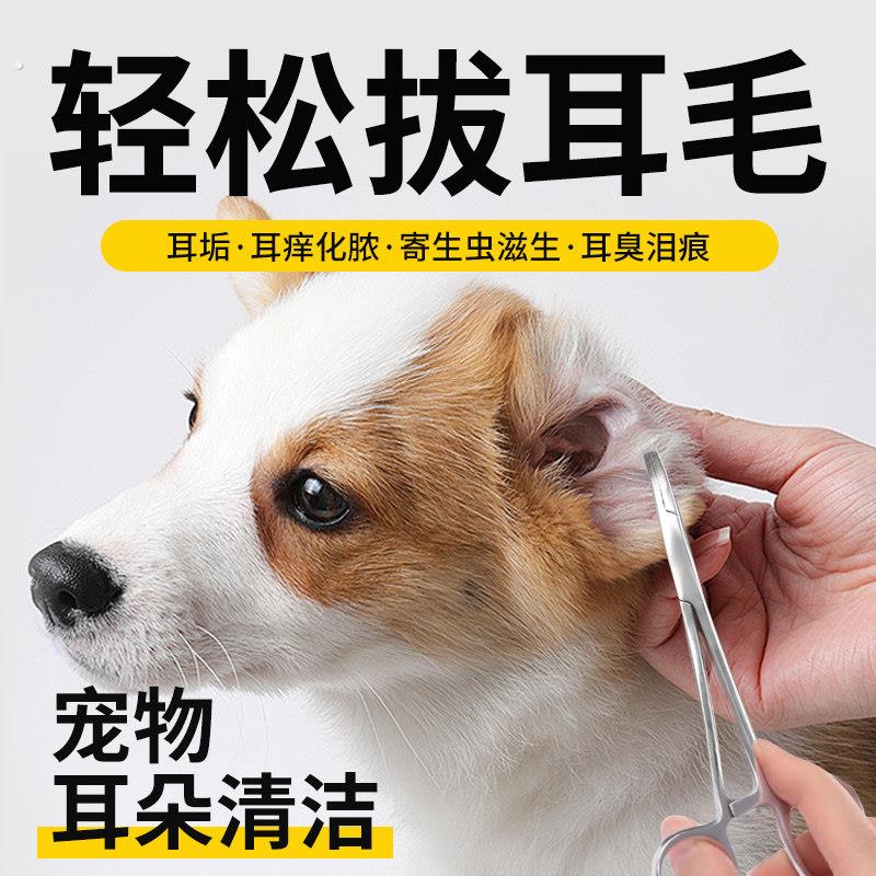 狗狗拔耳毛粉无痛宠物拔耳毛钳泰迪耳螨耳朵清洁猫咪狗拔耳毛神器