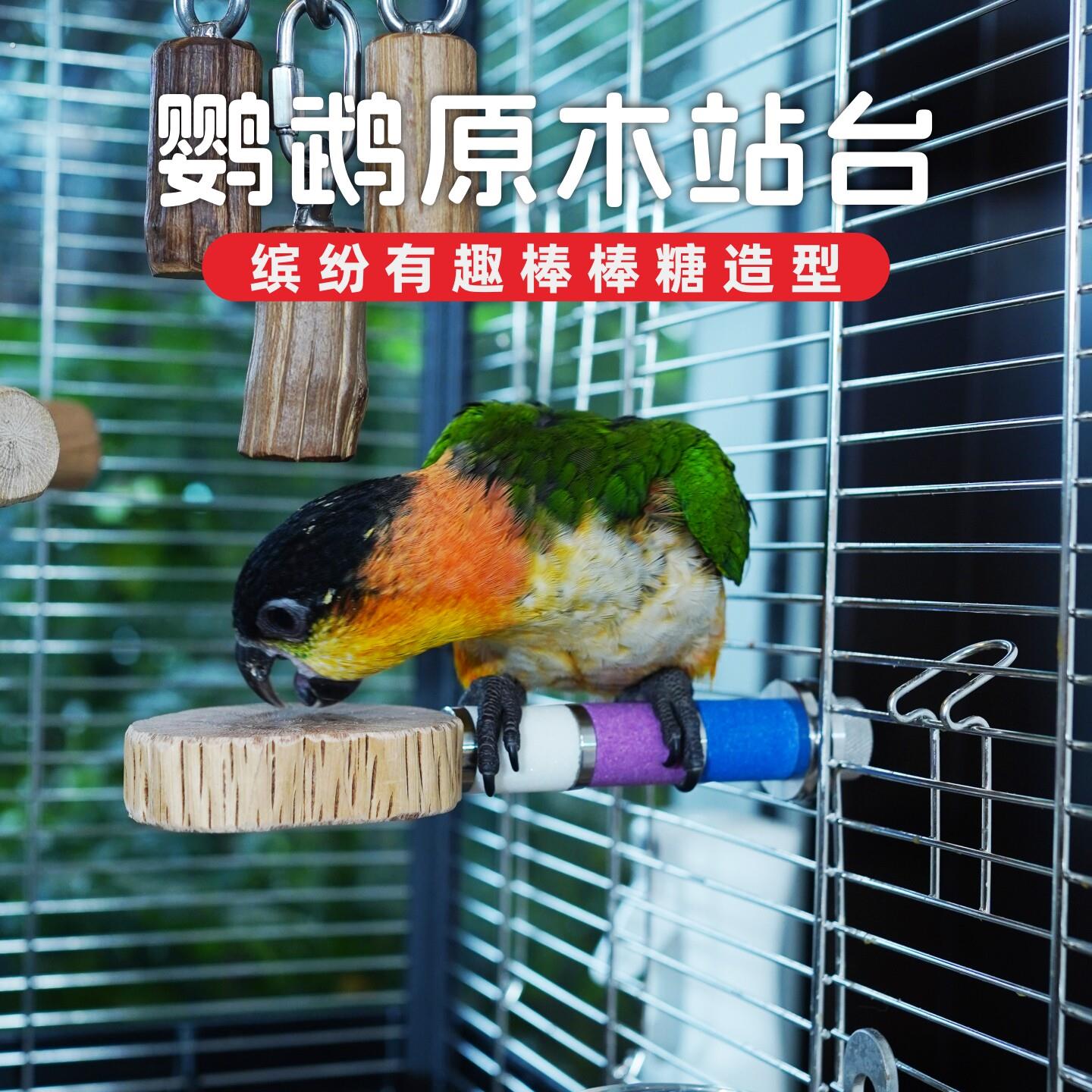 天然野梨木鹦鹉站台宠物跳台跳板玄凤牡丹鸟笼装饰磨牙磨爪磨嘴