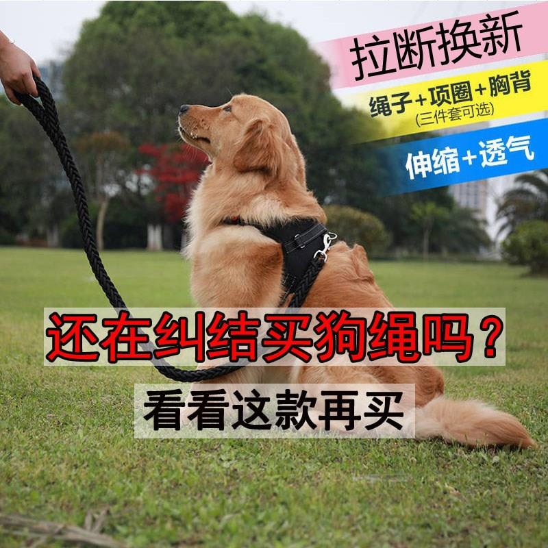 泰迪狗链子栓狗用宠物粗狗背心式小型小狗绳子狗连子大狗狗牵引绳