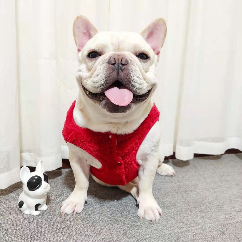 狗狗新年装喜庆法斗衣服秋冬巴哥英斗柴犬雪纳瑞胖狗宠物唐装马甲