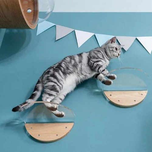 吻猫大型挂壁式实木猫爬架猫抓板玩具猫别墅猫窝猫塔组合跳台透明