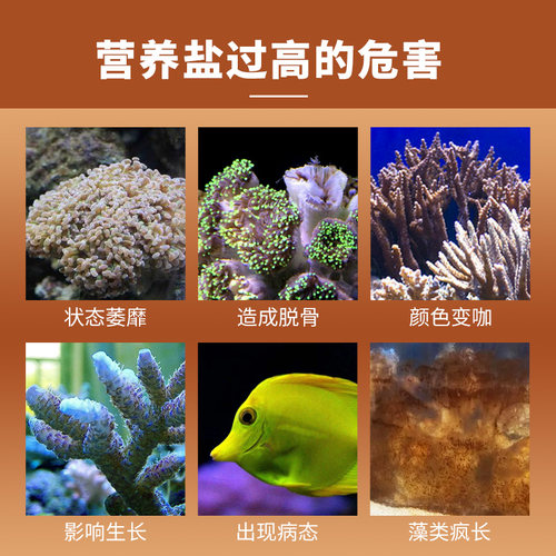 瑞丰NP提升液提NO3PO4细胞生物素源珊瑚缸海水缸降NO3PO4海水缸
