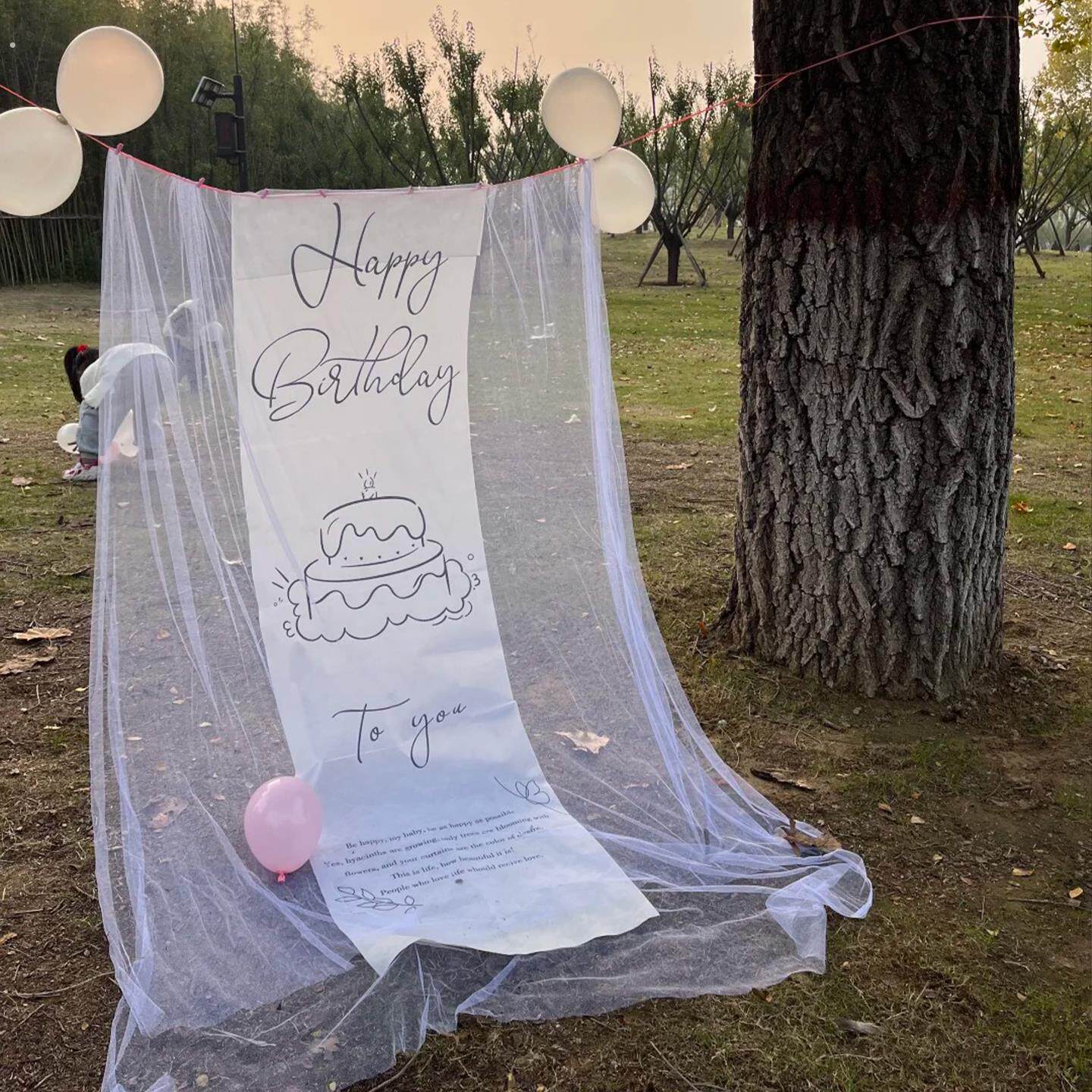 低成本生日装饰!户外生日场景布置背景布拍照出片小道具网纱挂布