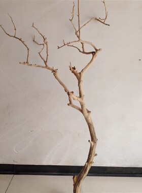 吊灯干枝分枝干树枝装饰树干枯枝室内天花板挂灯插花挂件舞台摆件