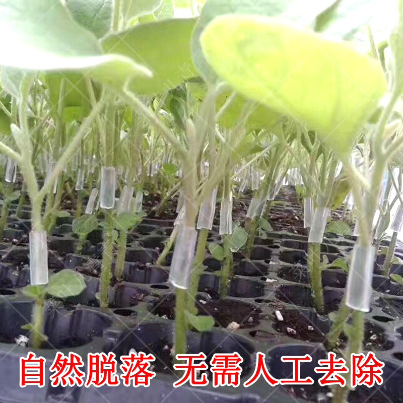 蔬菜育苗嫁接套管 西红柿嫁接管 嫁接软管番茄/茄子/西瓜嫁接套管