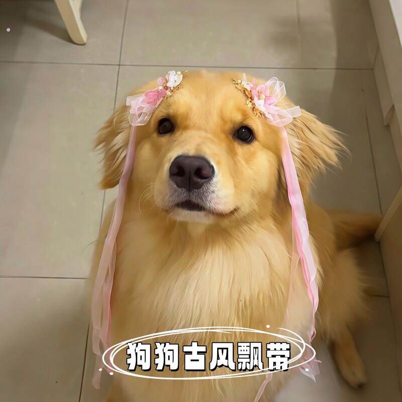 狗狗发饰国风仙气流苏发夹超长飘带发卡公主风丝带中国式宠物配饰