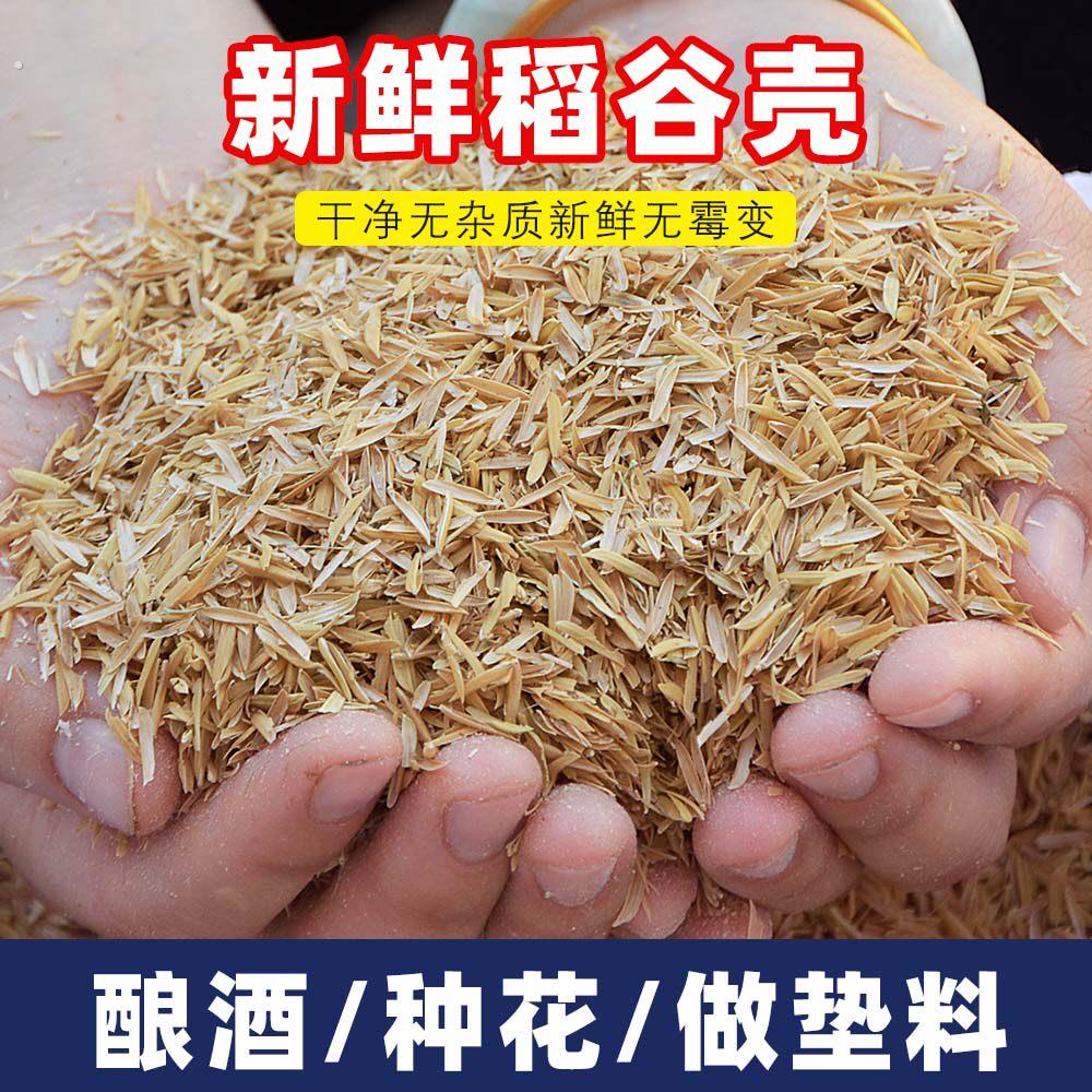 稻壳垫料新鲜谷壳粗糠米糠喂鸡宠物芦丁鸡垫料枕头芯填充酿酒饲料