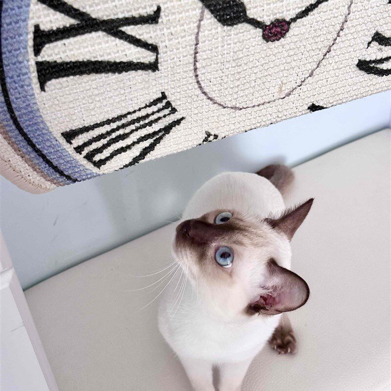 达利融化扭曲钟表创意剑麻猫爪板耐磨不掉屑耐抓猫咪玩具