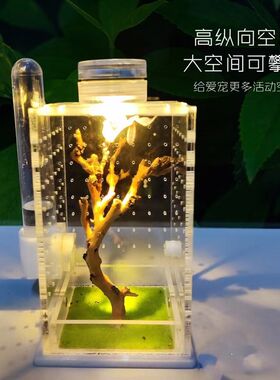 新款螳螂饲养盒跳蛛饲养盒蜘蛛昆虫亚克力蝈蝈笼子鸣虫盒子竹蛉盒