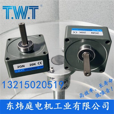 TWT电机 2GN3K~180K齿轮减速箱2GN20K 2GN100K 台湾东炜庭电机