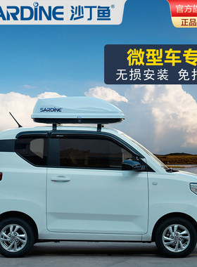 沙丁鱼 车顶行李箱 宏光MINIEV smart 小蚂蚁 微小型车载旅行箱架