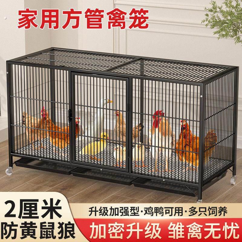 室外养鸡专用笼鸡笼子家用雏鸡笼养殖笼鸡舍鸭笼铁丝网方管笼户外