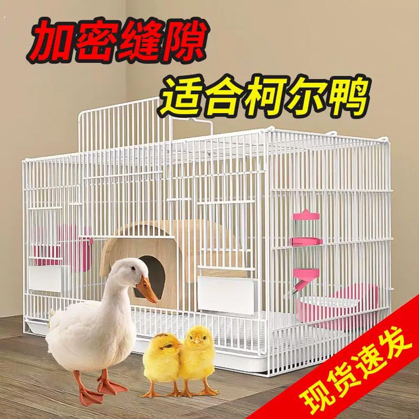 养芦丁鸡笼子饲养专用笼家用室内大号雏鸡雏鸭小鸭小鸡宠物笼加密