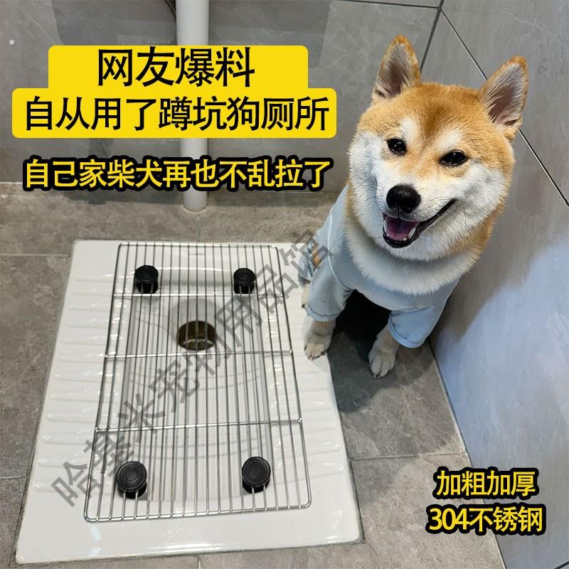 蹲坑狗狗厕所替代尿垫大中小型犬宠物专用定点排便神器不锈钢网架