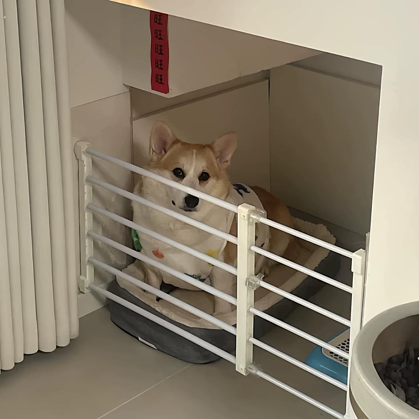可伸缩狗狗围栏栅栏室内小型犬狗笼隔离门挡宠物阻拦门安全防护栏