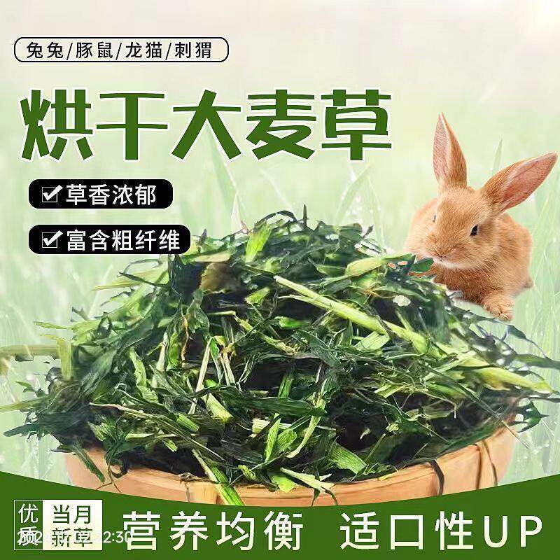 烘干大麦草段新鲜幼兔龙猫荷兰猪天竺鼠豚鼠仓鼠食草宠物兔子草
