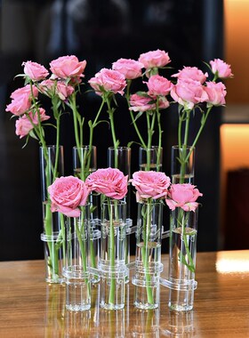一排试管花瓶鲜花绿植水培玻璃花瓶创意网红花架家居摆件可折叠