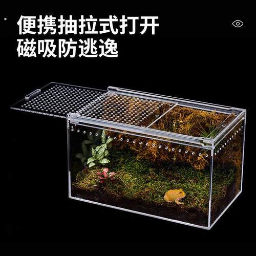 螳螂角蛙蝈蝈生态箱竹蛉盒甲虫蜘蛛饲养盒生态叫罐攀爬亚克力树蛙